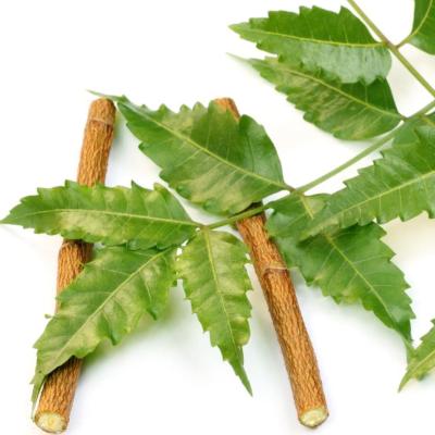 Original Neem Leaves by Sri Herbal - A Natural Wonder